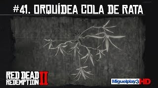 Localización múltiple Orquídea Cola de Rata  41Compendio Plantas  Red dead redemption 2 [upl. by Ardnosak]