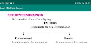 Sex Determination  Class 10 Heredity and Evolution  Science [upl. by Naman]