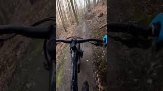 Bikepark Bodetal Thale Downhill amp Harzer Roller mtb mtblife trailschlawiner bikepark harz [upl. by Suiravat242]