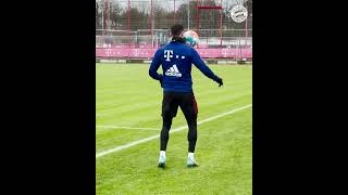 ROBERT LEWANDOWSKI SKILLS IN TRAINING [upl. by Ertsevlis]