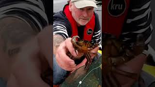 Creel fishing on an inflatable boat SIb Loch Fyne My Dingy and Me [upl. by Aneral195]