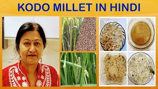 MILLETS KODO MILLET HEALTH BENEFITS NUTRITIONAL VALUE KODO MILLET RECIPES SHRI ANNA SHRIDHANYA [upl. by Idahs]