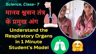 Respiratory System Explained  Student Demonstrates Working Model of Lungs [upl. by Chellman]