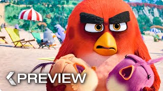 The Angry Birds Movie 2  First 10 Minutes Of The Movie [upl. by Weisberg410]