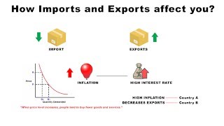 How Imports and Exports Affect You  Economics [upl. by Siva]