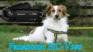 Panasonic HC W580 Video Test At Apex Park Burnham on Sea [upl. by Engedus6]