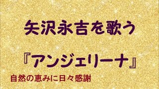 『アンジェリーナ』／矢沢永吉を歌う410 by 自然の恵みに日々感謝 [upl. by Odine]