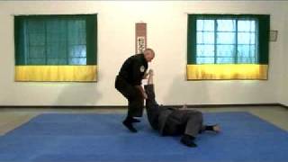 Genbukan Ninpo  South Africa  TaiJutsu demonstration [upl. by Ahtenak]