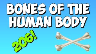 The Bones Song Learn the bones of the human body [upl. by Bruner900]