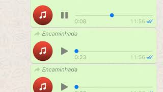 Que diabo de música é essa ai  Áudios engraçados do Whatsapp [upl. by Kcirret]