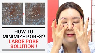 How to Minimize Pores Large Pores Solution  Wishtrend [upl. by Xirtaeb]