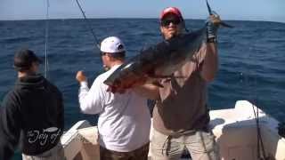 Bud Hosners GradyWhite MARLIN 300 [upl. by Marillin]