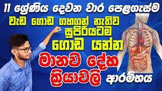 මානව දේහ ක්‍රියාවලි විද්‍යාව දෙවන වාර ආරම්භයseminar 0111ශ්‍රේණියscience with CK sirgrade 11  OL [upl. by Anirb]