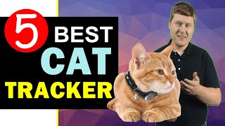 Best Cat Tracker 2024 🏆 Top 5 Best Cat Tracker Reviews [upl. by Dettmer723]