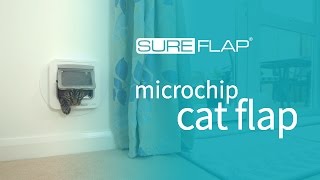 Testing the Read Range on the SureFlap Microchip Cat Flap [upl. by Jenn]