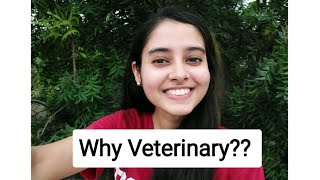 How to use veterinary ConciMate Buserelin Acetate injection  बकरी को हिट में लाएं गाभिन कराये [upl. by Guerin]