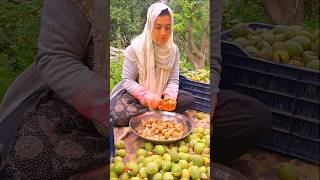 Walnut Harvesting  My Village Life  Best Vlogs  Short [upl. by Scopp]