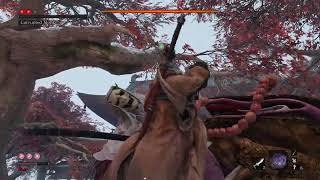 Sekiro  True Monk NG7CLDBBV No Hit [upl. by Tsui]