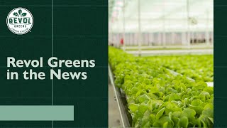 Revol Greens in the News  Fox 9 [upl. by Wulfe]