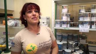 Conhecendo a UFRGS  Laboratório de Ecologia de Interações [upl. by Aihppa]