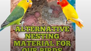 ALTERNATIVE NESTING MATERIAL FOR OUR BIRDS [upl. by Lukas]