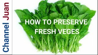 How to Freeze Raw Vegetables Living Wise Eating Healthy 2019 [upl. by Zorina]