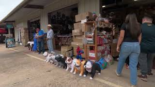 FLEA MARKET IN HOUSTON TX PART 2 [upl. by Sucramrej]