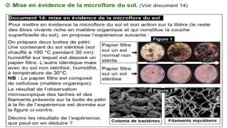 TCSFU1Ch2EP8  action de microfaune et microflore sur le sol minéralisation et humufication [upl. by Ymassej567]