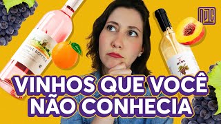 Tipos de vinho que vão te surpreender  2 [upl. by Eimrej]