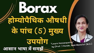 Borax  Dr Handes Explanation of Medicine  Five Principal Symptoms  BHMS [upl. by Esdnil605]