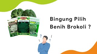 3 Benih Brokoli Terbaik Musim Hujan Rekomendasi Dataran Menengah [upl. by Queridas131]