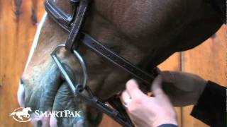 How to Fit a Bridle [upl. by Ahtram]