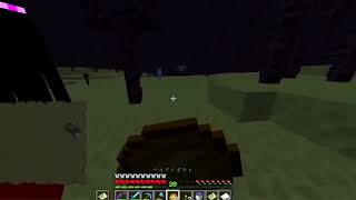 video minecraft 3 [upl. by Beore]