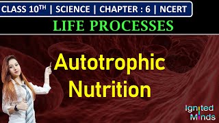 Class 10th Science  Autotrophic Nutrition  Chapter 6  Life Processes  NCERT [upl. by Tonie340]