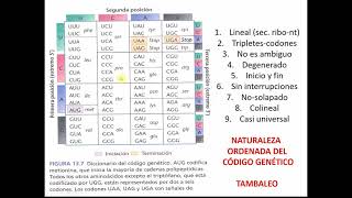 El código genético [upl. by Cerf]