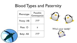 Blood Types and Paternity [upl. by Ttezil893]