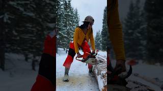 Cutting up more firewood for this winter Do you need help staying warm 😛🔥 wood chainsaw [upl. by Eidnak]