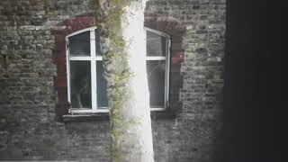 A ghost in a Peckham church window [upl. by Malinda]