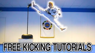 Taekwondo Kicking Tutorials Promo Ginger Ninja Trickster  How to Videos [upl. by Royal]