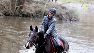 In Aufrichtung reiten erarbeiten  Jungpferd im Reittraining bei Ariane Telgen [upl. by Craddock]