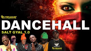 Dancehall Mix 2024 Clean Dancehall Songs 2024 │ SALT GYAL Masicka Chronic Law Alkaline Valiant [upl. by Nnep]