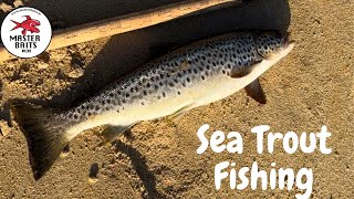 Sea Trout Fishing in the Estuary Co Donegal Fishing Ireland [upl. by Byran41]