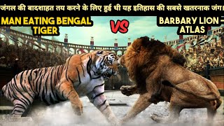 True Story of Fight Between Barbary Lion Atlas and a Man Eating Bengal Tiger of Shimla। Facts Phylum [upl. by Nolie]