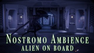 ALIEN  Nostromo Ambience  ROAMING ALIEN ON BOARD  Studying  Reading  Gaming  Nightmare Fuel [upl. by Elleiand659]