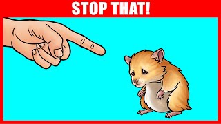 14 Ways You Are Hurting Your Hamster Without Realizing [upl. by Atis]