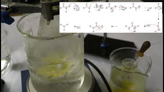 anthranilic acid and the hofmann rearrangement reaction [upl. by Bancroft]