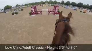 Hailey Royce and Rapidash  Low Children’s Classic GoPro at Spring Spectacular 2014 [upl. by Zap]