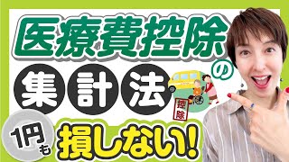 【医療費控除のための集計方法】1円も損しない！医療費集計フォームで取りこぼししない！ by 女性税理士 [upl. by Clere]