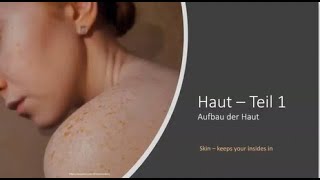 Aufbau der Haut  Teil 1 Epidermis Dermis Subcutis einfach erklärt [upl. by Scarito638]