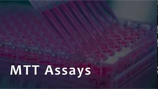 MTT Assay for Cell Viability [upl. by Eliezer]